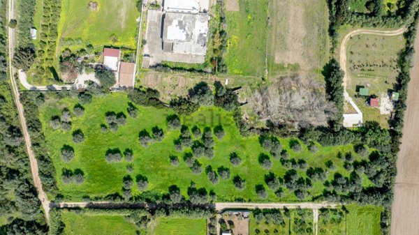 terreno agricolo in vendita ad Orosei