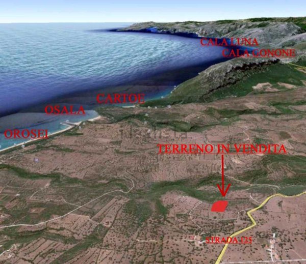 terreno agricolo in vendita ad Orosei