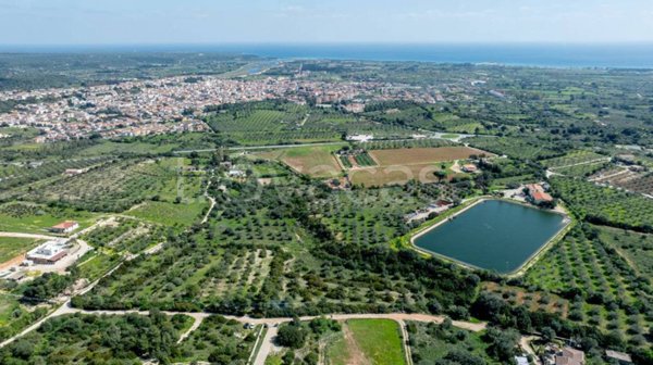 terreno agricolo in vendita ad Orosei