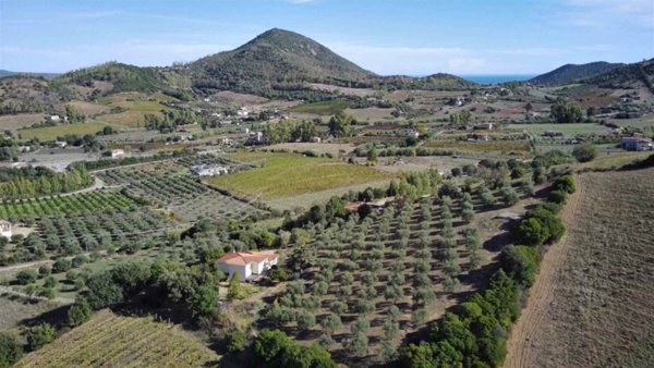 casa indipendente in vendita ad Osini