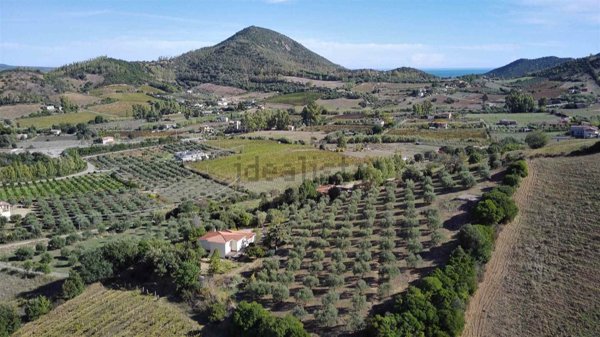 casa indipendente in vendita ad Osini