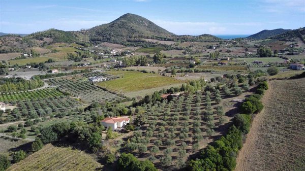 casa indipendente in vendita ad Osini
