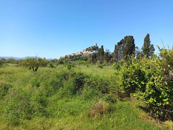 terreno agricolo in vendita a Posada