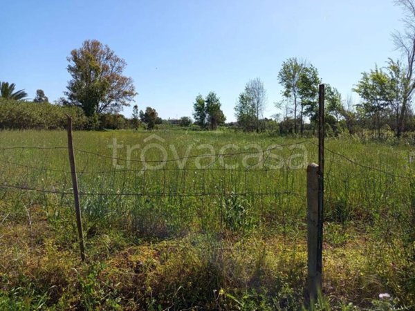 terreno agricolo in vendita a Posada