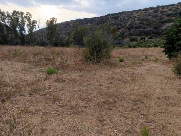 terreno agricolo in vendita a Posada