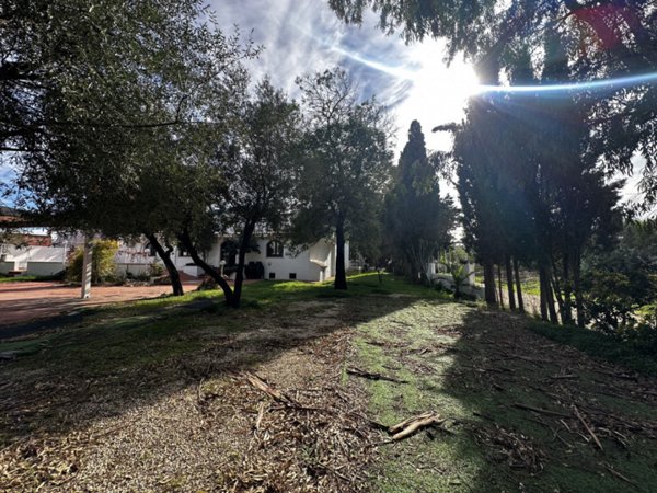 negozio in vendita a Posada