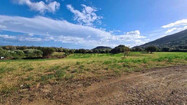 terreno agricolo in vendita a Posada