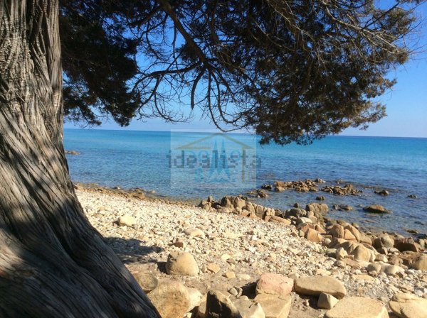 immagine annuncio 0 di 1