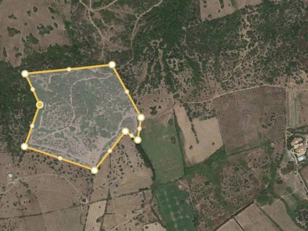 terreno agricolo in vendita a Posada