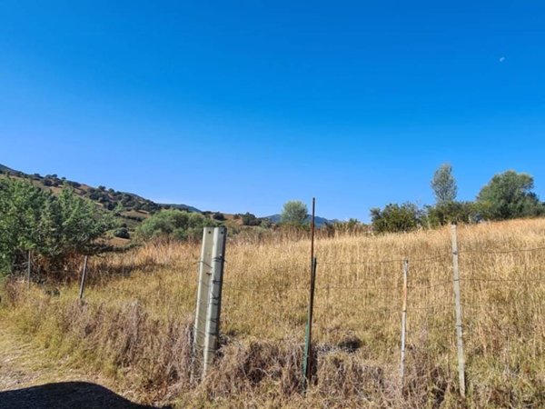 terreno agricolo in vendita a Siniscola