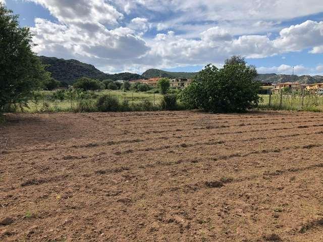 terreno edificabile in vendita a Siniscola
