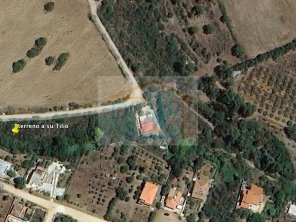 terreno agricolo in vendita a Siniscola