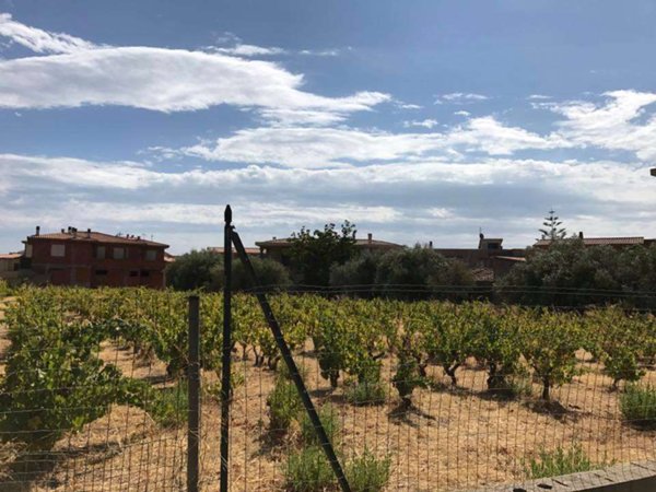 terreno edificabile in vendita a Siniscola