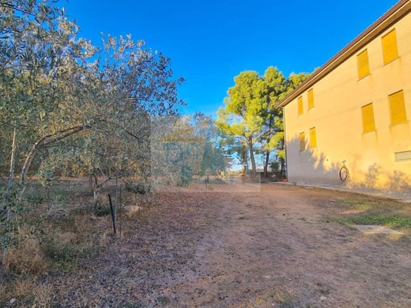 appartamento in vendita a Siniscola in zona Capo Comino