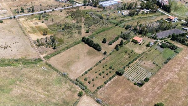 terreno agricolo in vendita a Siniscola