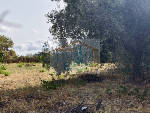 terreno edificabile in vendita a Siniscola