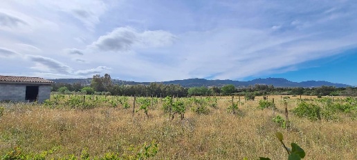 casa indipendente in vendita a Siniscola