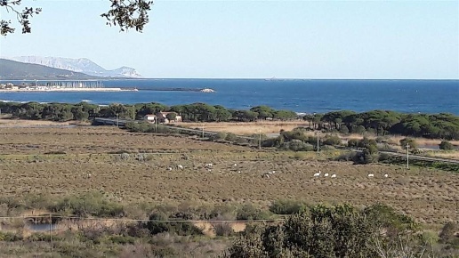 appartamento in vendita a Siniscola