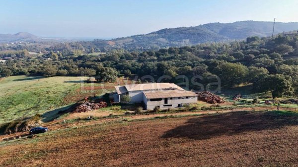 terreno agricolo in vendita a Siniscola