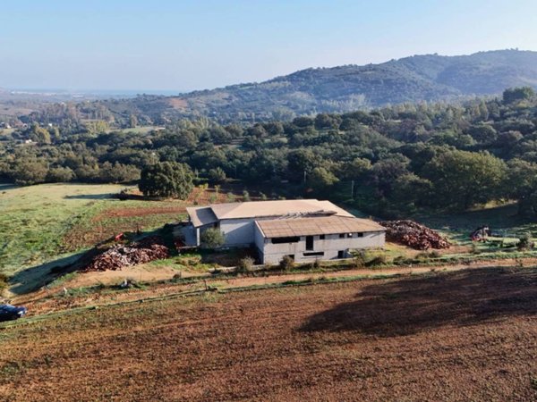 terreno agricolo in vendita a Siniscola