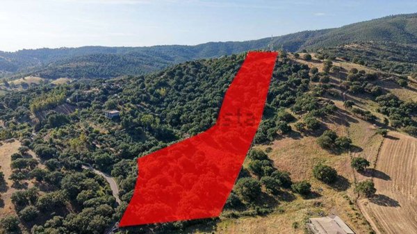 terreno agricolo in vendita a Siniscola