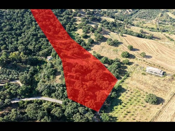 terreno agricolo in vendita a Siniscola
