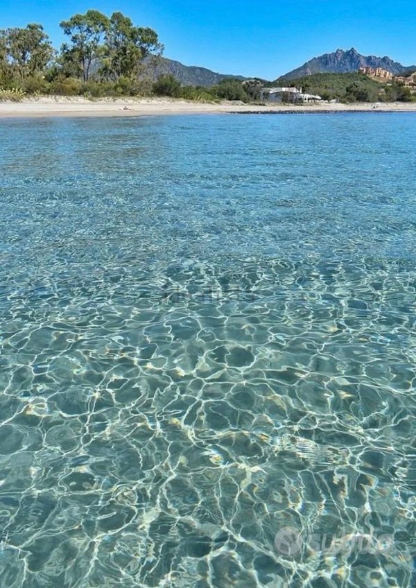 terreno agricolo in vendita a Tertenia