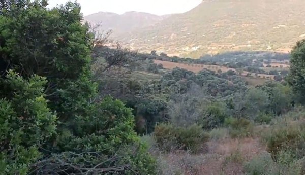 casa indipendente in vendita a Tertenia