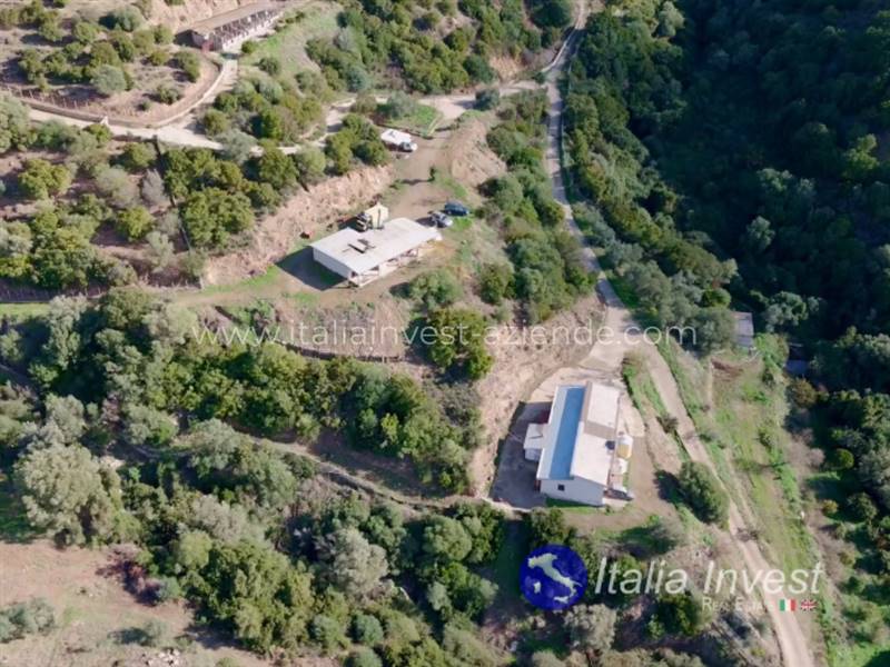 azienda agricola in vendita a Tertenia