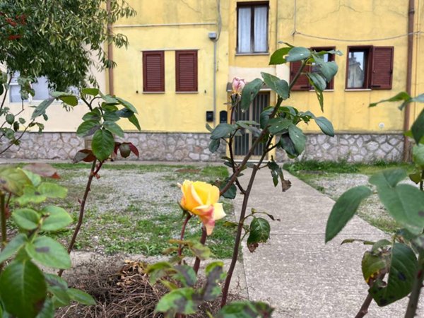 appartamento in vendita a Tonara