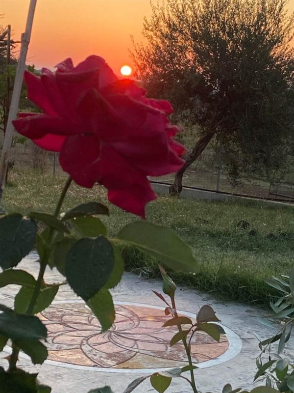 casa indipendente in vendita a Torpè