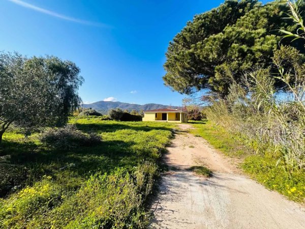 casa indipendente in vendita a Torpè