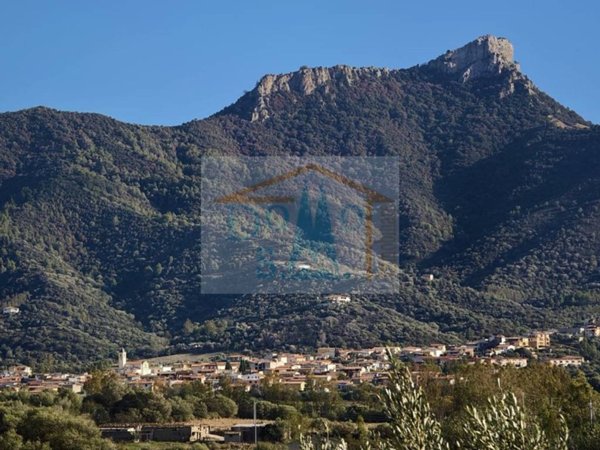 casa indipendente in vendita a Torpè