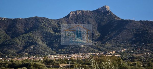 casa indipendente in vendita a Torpè