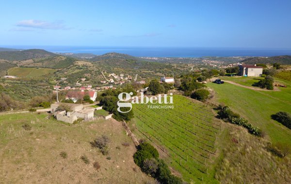 casa indipendente in vendita a Torpè