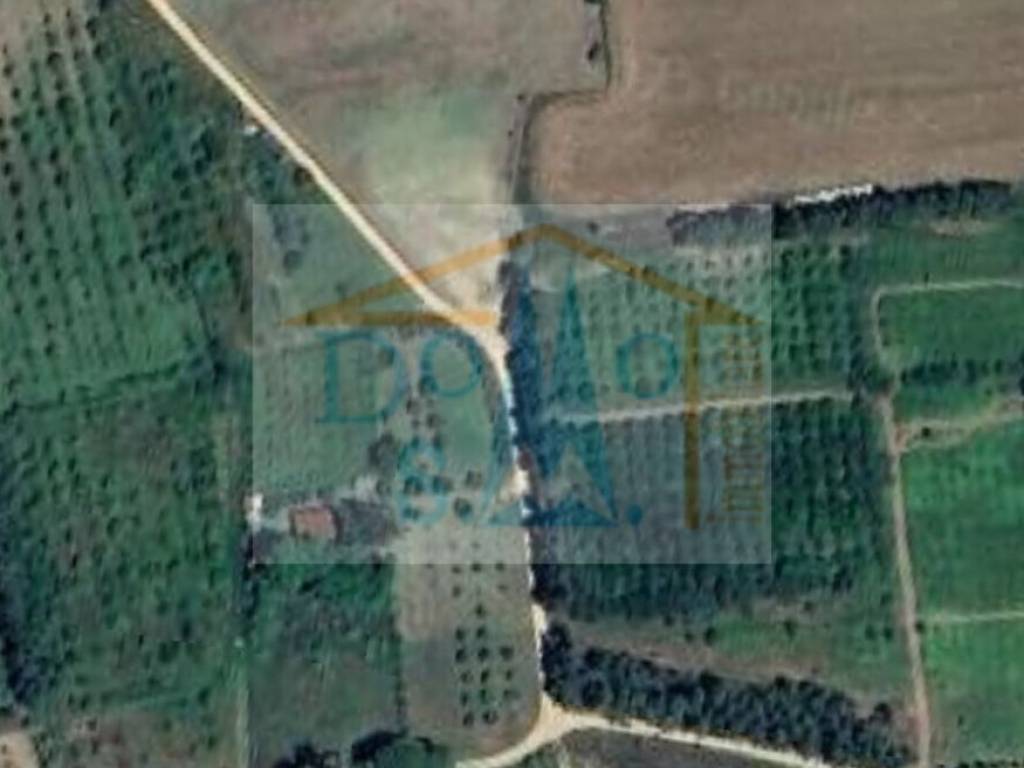 terreno agricolo in vendita a Torpè