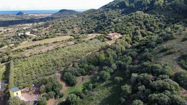 casa indipendente in vendita a Torpè