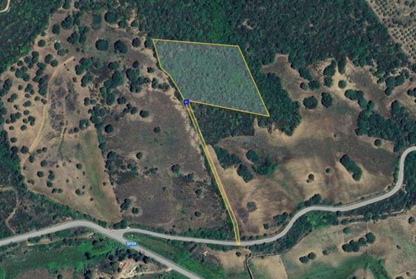 terreno edificabile in vendita a Torpè