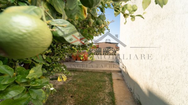 casa indipendente in vendita a Torpè