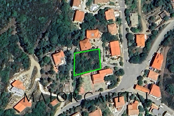 immagine annuncio 0 di 6