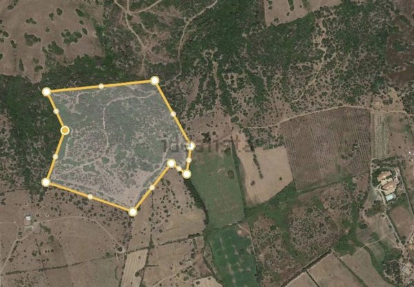 terreno agricolo in vendita a Torpè