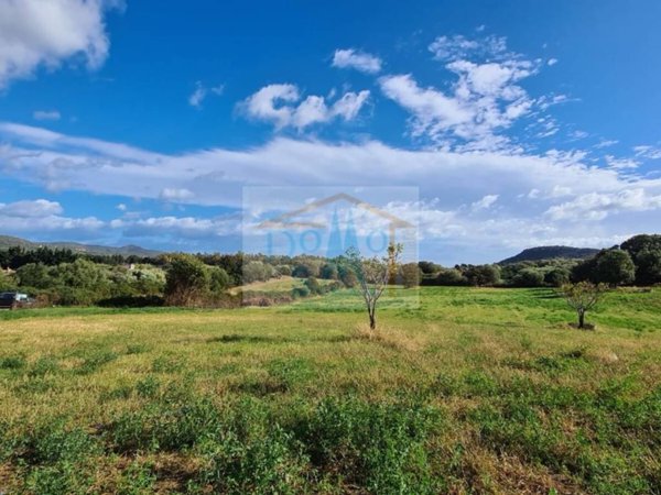 terreno agricolo in vendita a Torpè in zona Concas