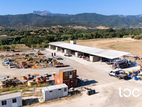 appartamento in vendita a Torpè