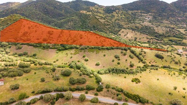 terreno agricolo in vendita a Torpè