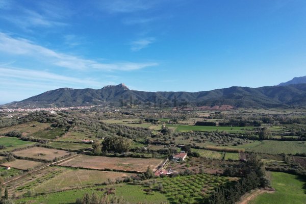 casa indipendente in vendita a Torpè