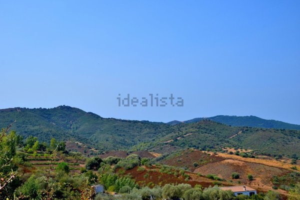 terreno in vendita a Torpè