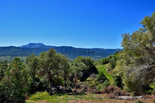 terreno in vendita a Torpè