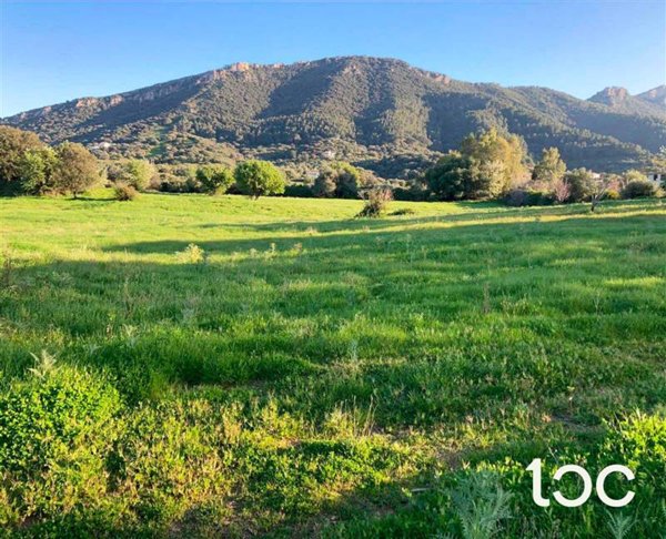 terreno in vendita a Torpè