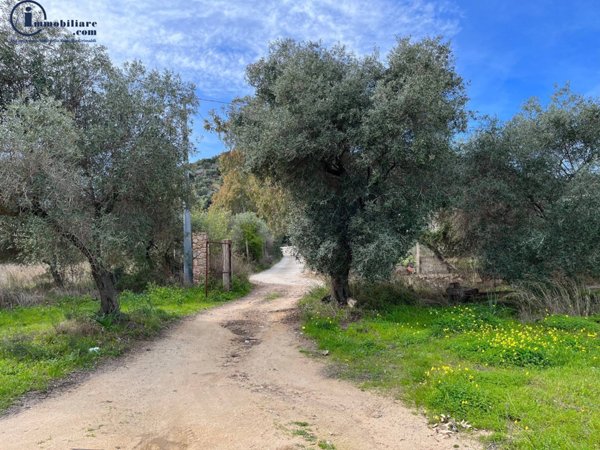 casa indipendente in vendita a Tortolì in zona Centro Storico