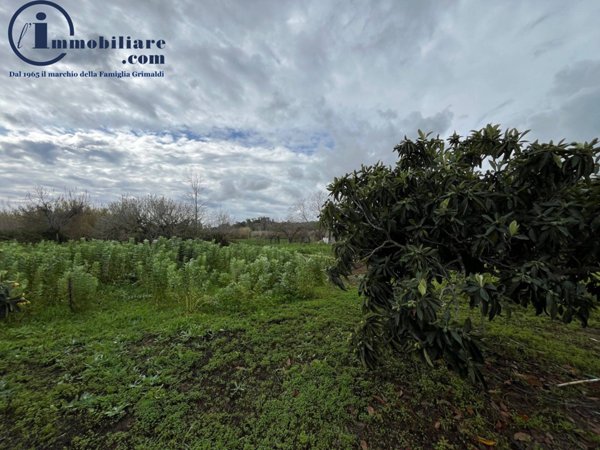 terreno agricolo in vendita a Tortolì